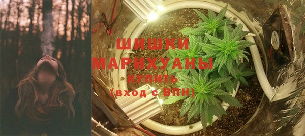 гидра Верея