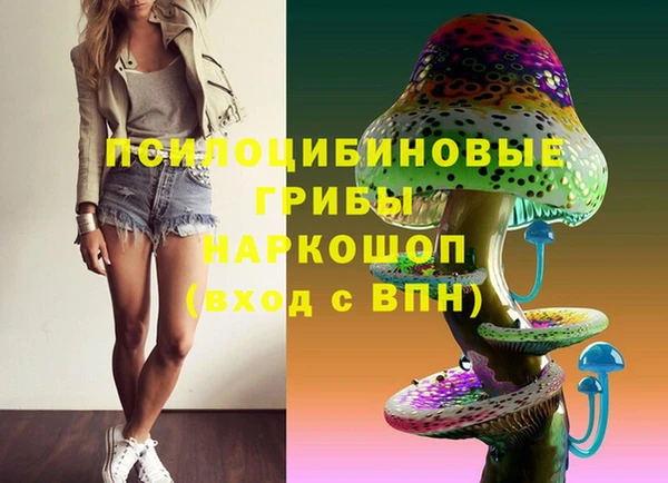 кокс Бородино