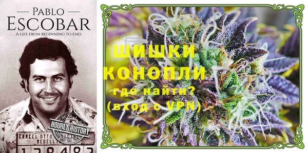 гидра Верея