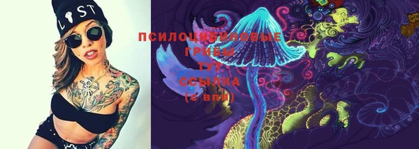 гидра Верея