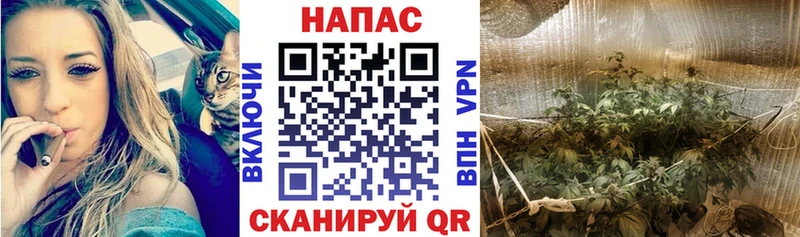 Канабис конопля  Купить где  Никольск 